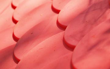 Market Weston plastic roof costs