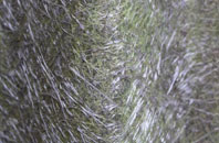 Market Weston fibreglass roof work